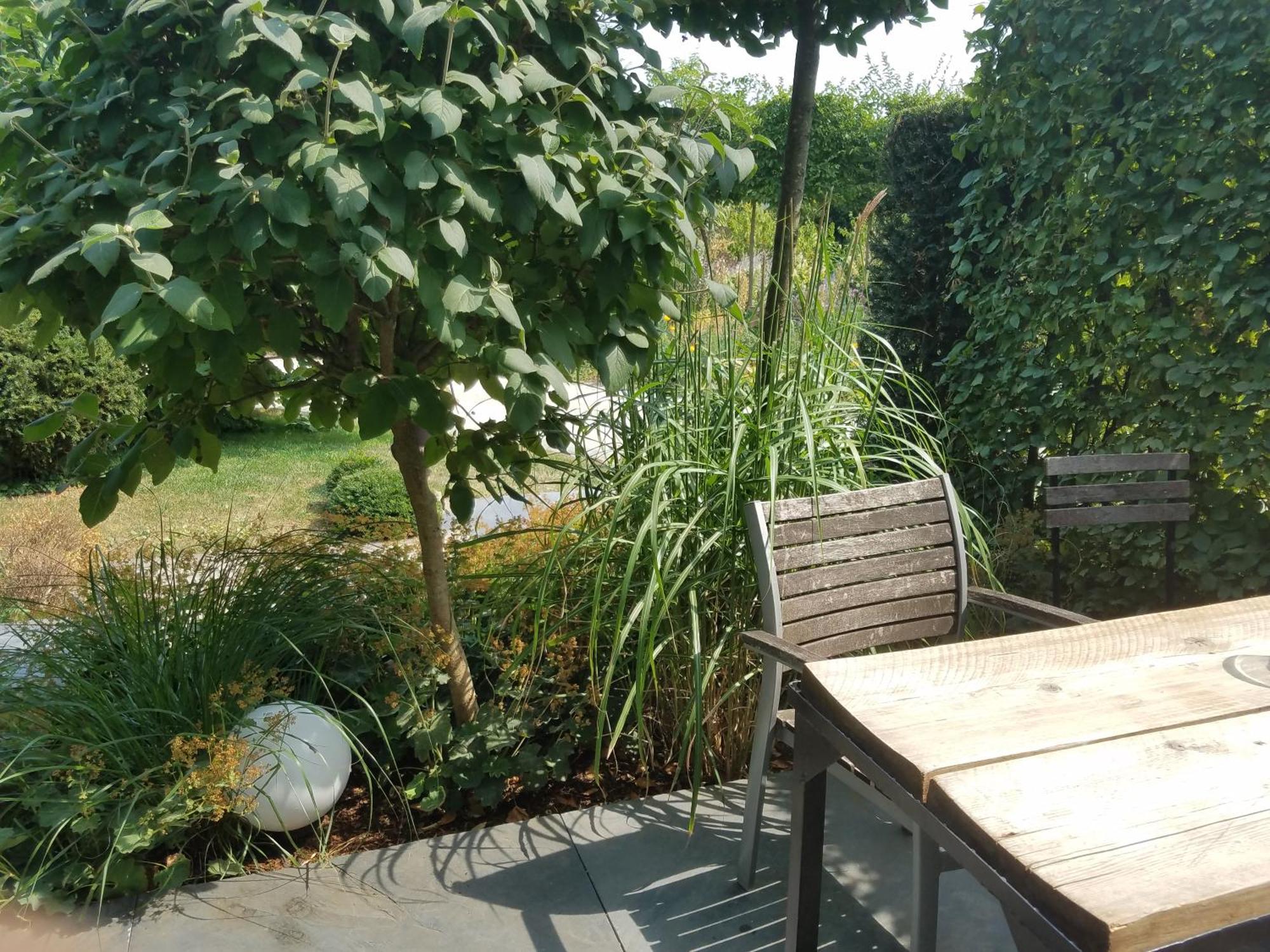 Webergarten Oestrich-Winkel Kamer foto