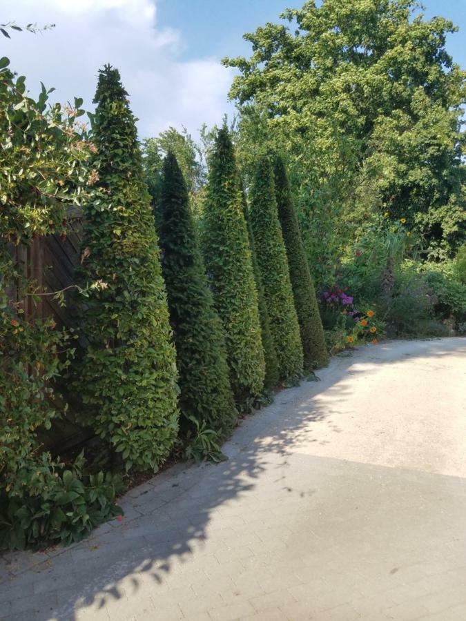 Webergarten Oestrich-Winkel Buitenkant foto