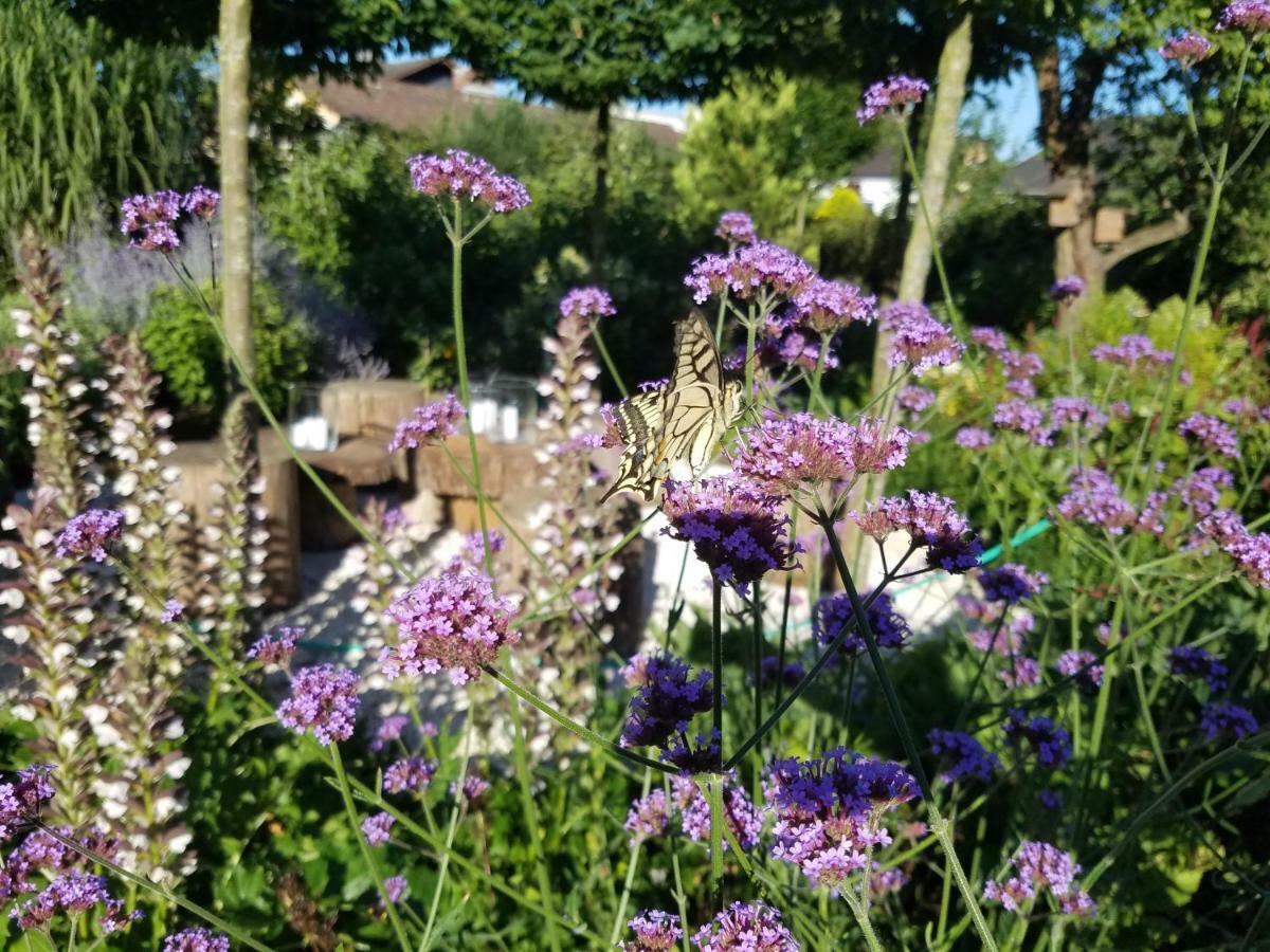 Webergarten Oestrich-Winkel Buitenkant foto
