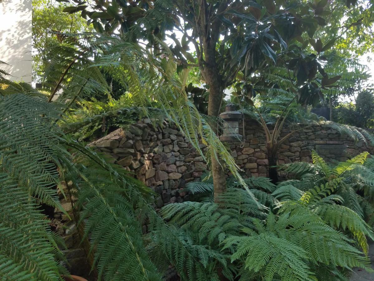 Webergarten Oestrich-Winkel Buitenkant foto
