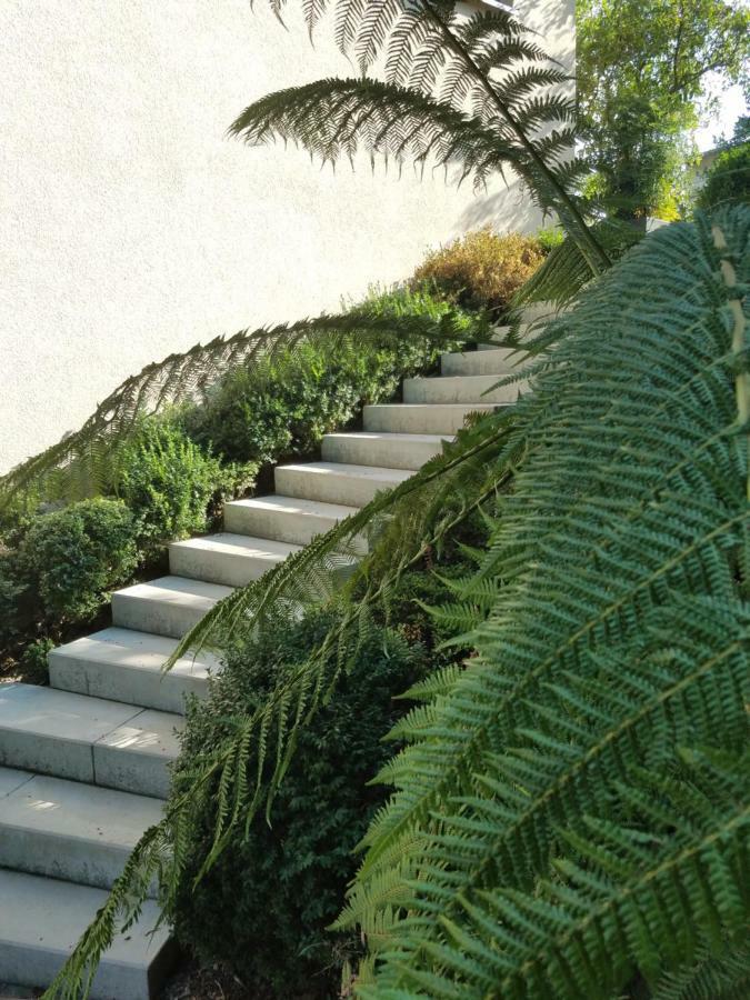 Webergarten Oestrich-Winkel Buitenkant foto